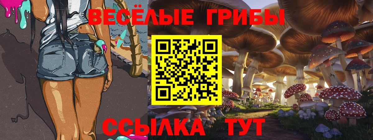 Губкин  Галлюциногенные грибы мицелий  Псилоцибиновые грибы Magic Shrooms  купить наркотик  Вход с VPN 